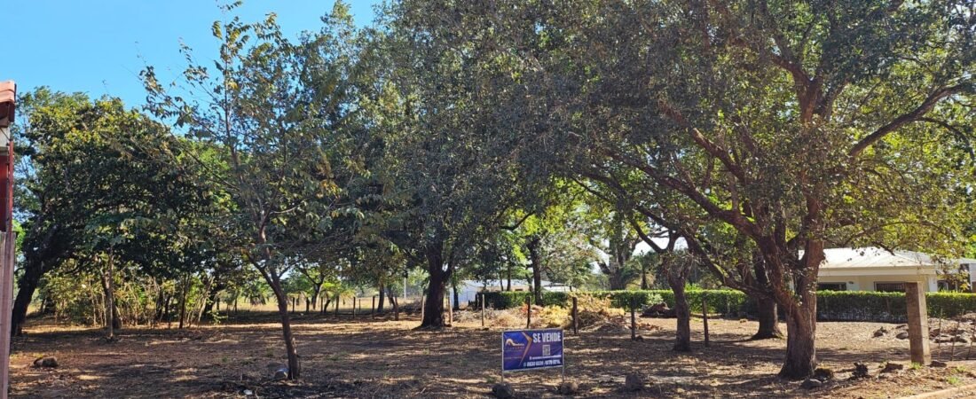 Lote en liberia-Curubande